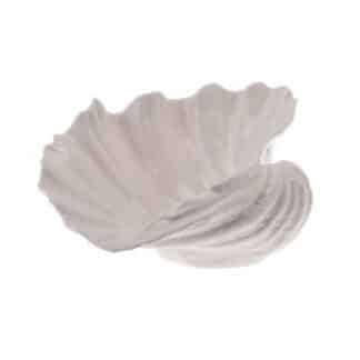 Scallop Shell Ivory