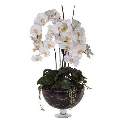 White Orchid Flower in Black marble bowl