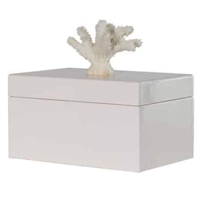 White Coral Box