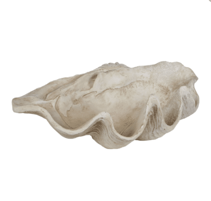 Decorative Clam Shell