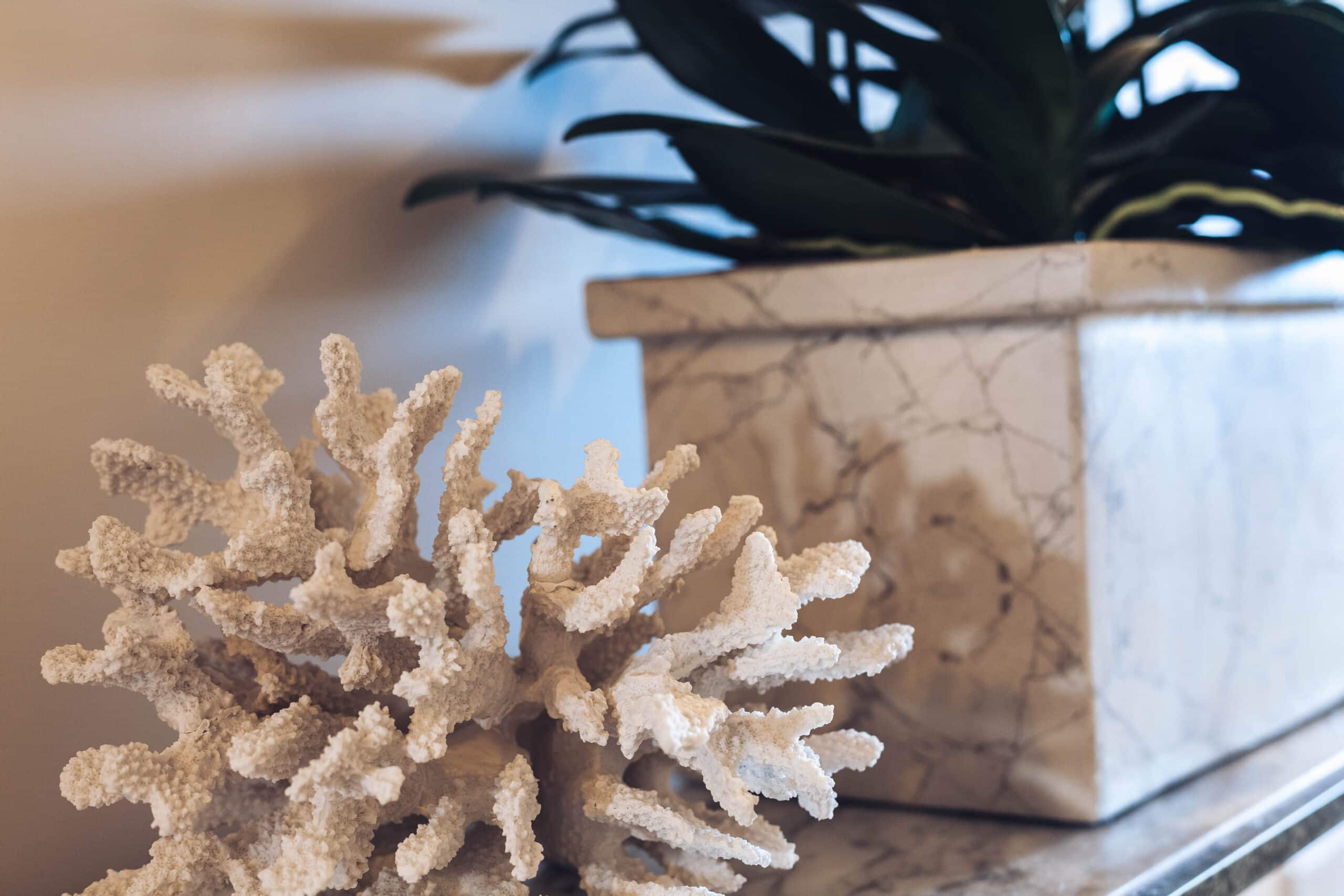 White Decorative Coral