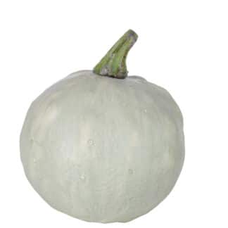 Decorative Light Green Pumpkin