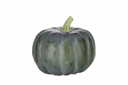 Decorative Olive toned Pumpkin