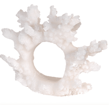 A Set of 6 Cream Coral Napkin Ring Holders