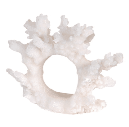 A Set of 6 Cream Coral Napkin Ring Holders