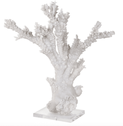 White Coral Sculpture On stand