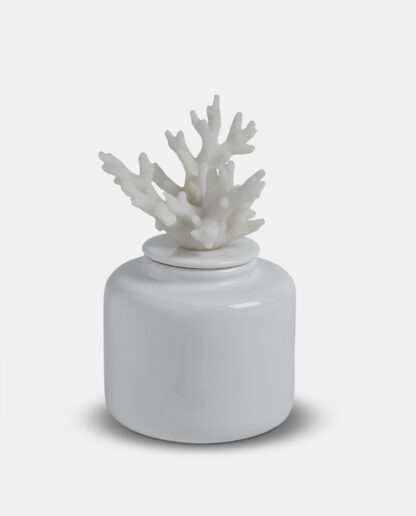 Decorative White Coral Jar