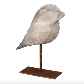 Shell Decoration On A Rustic Bronze Stand