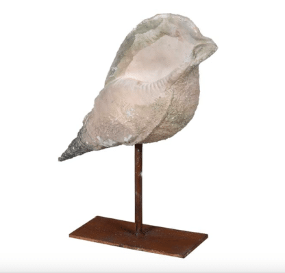 Shell Decoration On A Rustic Bronze Stand
