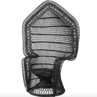 Large Outdoor Black Peacock Chair
