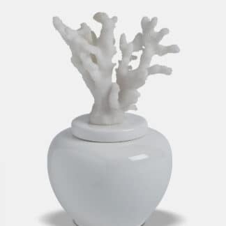 White Coral Jar