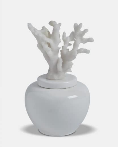 White Coral Jar
