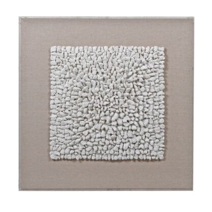 Decorative coral perspex wall art