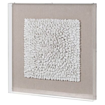 Coral decoration in perspex frame