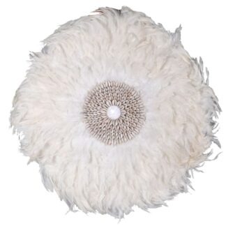 Cream feather & Sea shell wall art decoration