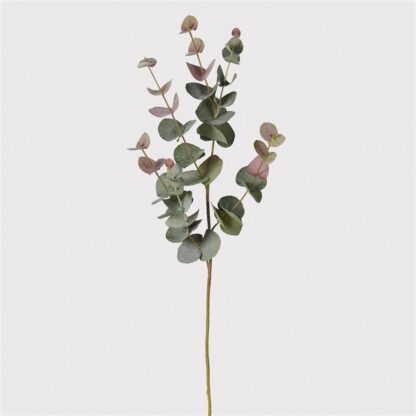 Blush Eucalyptus Spray