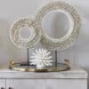 Large cream shell disc on stand