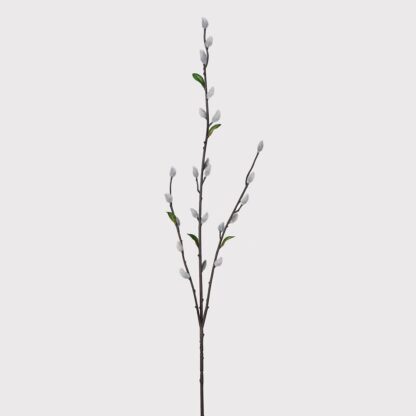 Grey Pussy Willow Stem