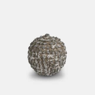 Decorative Grey Washed Pine cone