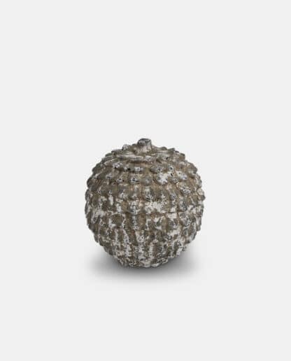 Decorative Grey Washed Pine cone