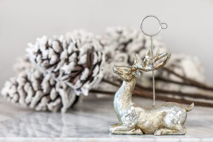 Pine Snow Spray