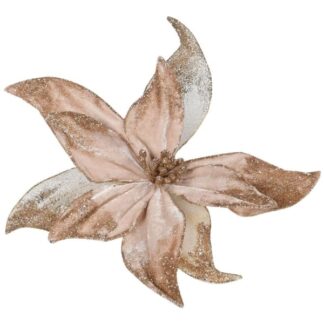 champagne gold velvet poinsettia