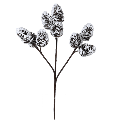 Snowy pine cone spray