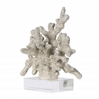 Ocian Champagne coral on stand