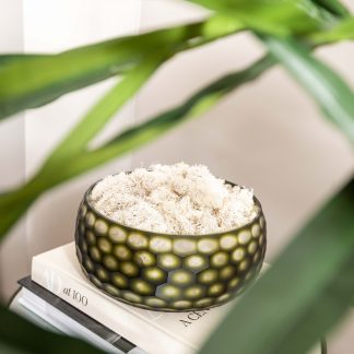 Round Patterned Olive Bowl