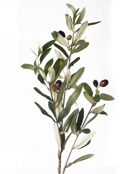 olive plant spray