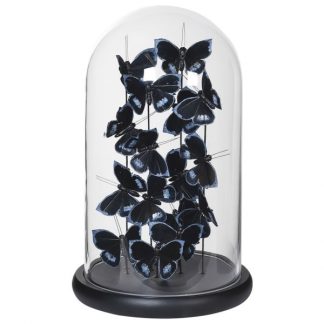 Cornelia Blue & Black Butterfly Glass Dome