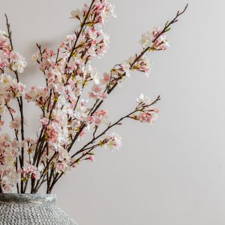 Pink Cherry Blossom Stems