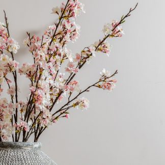 Pink Cherry Blossom Stems