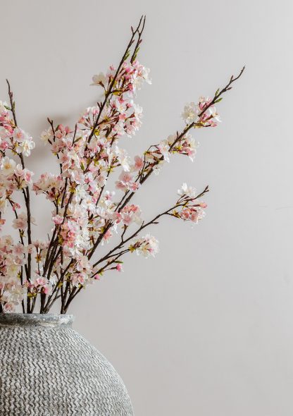 Pink Cherry Blossom Stems