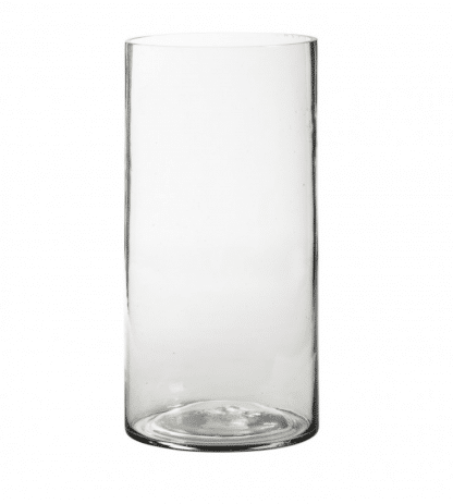 Clear Bubble Glass Vase