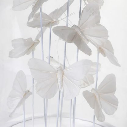 Elegant White Butterflies in Glass Cloche