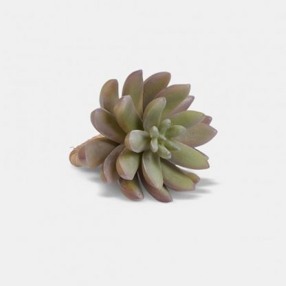 ECHEVERIA NAPKIN RING