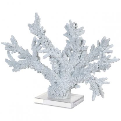 blue coral