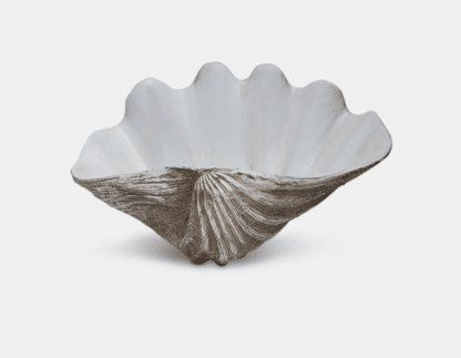 shell wall art