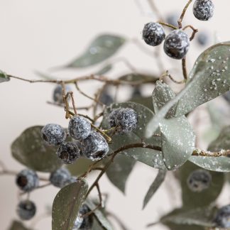 Frozen Berry Spray
