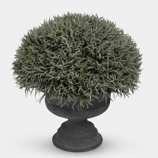 lavender leaves with urn pot