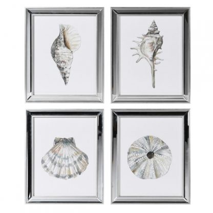 Mirror Frame - Set of 4 shell prints
