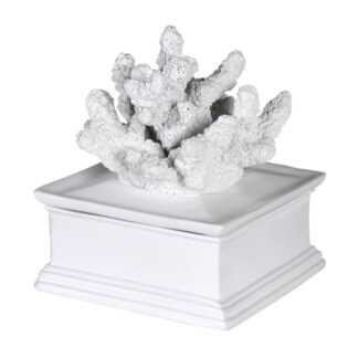 coral box