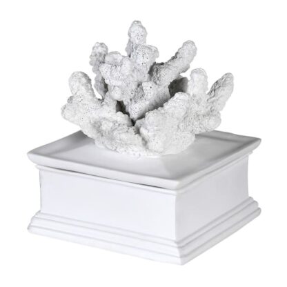 coral box