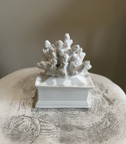 WHITE FAUX CORAL TRINKET BOX