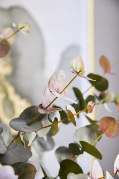 Blush Eucalyptus Spray