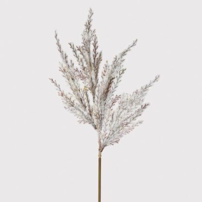 Light Brown Astilbe Stem