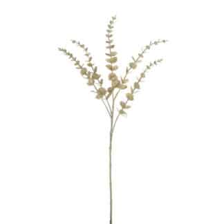 Champagne eucalyptus spray