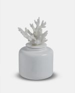 Coral Jar