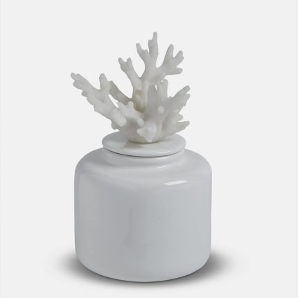 Coral Jar